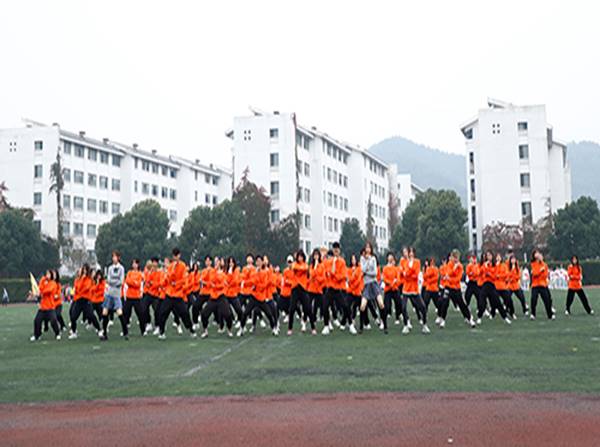 说明: https://www.sgmart.edu.cn/_mediafile/sgmart/2019/11/07/22m3fl1o41.jpg